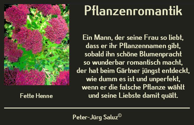 Pflanzenromantik