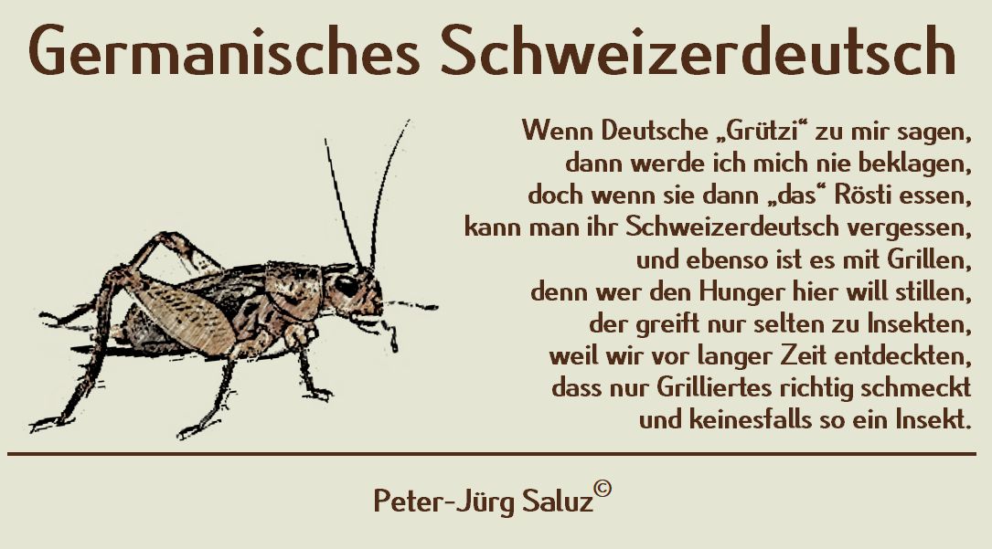Saluz Germanisches Schweizerdeutsch