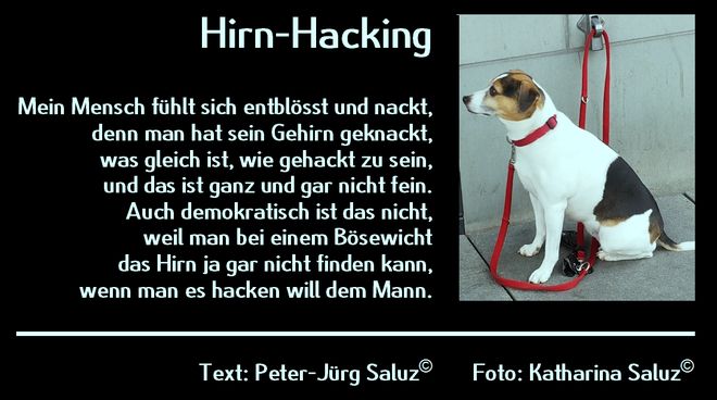 Saluz Hirn Hacking