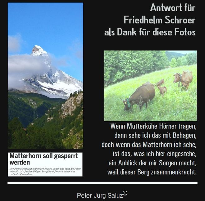 Saluz Kühe und Matterhorn